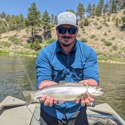 LaneSamples's profile picture. 