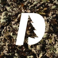 Deep Forest®︎-Shiro Suganuma (@deepforestfish1) 's Twitter Profile