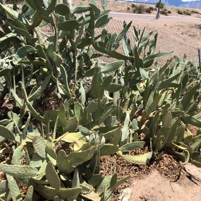 aggieculo's profile picture. Things that you might not say out loud because it makes people uncomfortable.