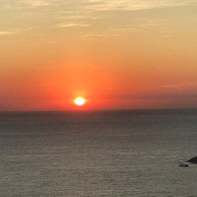 winereleven's profile picture. 