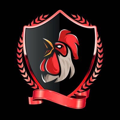 Streamer de todo un poco en twitch🟣 Piloto Virtual de F1🏎 @lost__legions