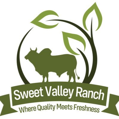 Sweet Valley Ranch uniquely features exciting seasonal adventures including Dinosaur World, Tiny’s Corn Maze, Backwoods Terror Ranch and Festival of Lights.