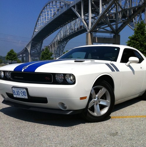 squishspicks's profile picture. 