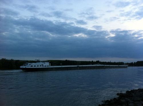 HesselBruinsma's profile picture. 'kvb calisto'