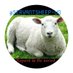 samuel opio 🇺🇬MRH🇮🇱 (@servantsheep) Twitter profile photo samuel opio 🇺🇬MRH🇮🇱 (@servantsheep) Twitter profile photo