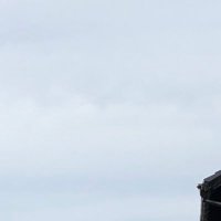 ぜろ (@zeroasueno) 's Twitter Profile