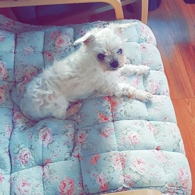 밀랍단さんのプロフィール画像