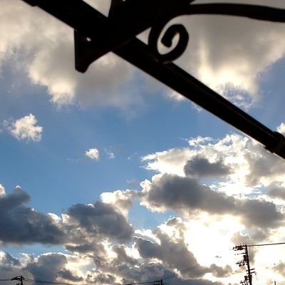 椿 奈々世さんのプロフィール画像