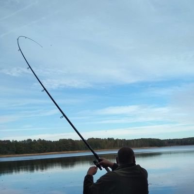 David27313737's profile picture. ...