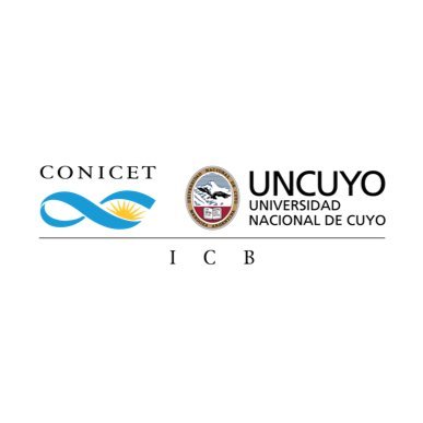 Somos el Instituto Interdisciplinario de Ciencias Básicas, un instituto de investigación científica de doble dependencia @CONICETDialoga / @UNCUYO.