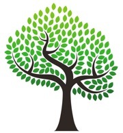 AnAdoptedLife's profile picture. Infertility survivors. New mom and dad through domestic adoption.