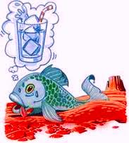 XtnDz's profile picture. ♈