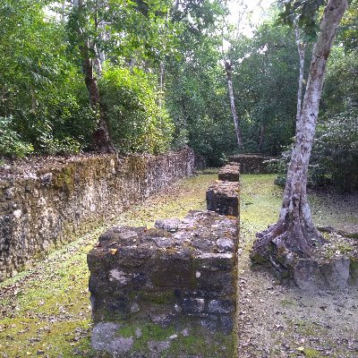 Arqueología, Patrimonio arquitectónico, Historia, Geografía, Meteorología-Huracanes, Ecologia Cultural- Botanica🌲