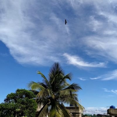 বাংলা কবিতার ছোট টুকরোর সঞ্চয়... আমাদের ভাষার মণিমাণিক্যগুলি টুইটার এ তুলে ধরার চেষ্টা।
A collection of Bengali Poetry.
#BanglaKobita #বাংলাকবিতা