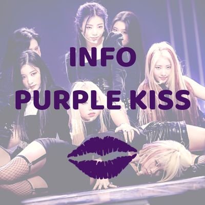 INFO PURPLE KISS 🝮