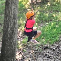 L Creegan (@lcreegan) 's Twitter Profile Photo L Creegan (@lcreegan) 's Twitter Profile Photo