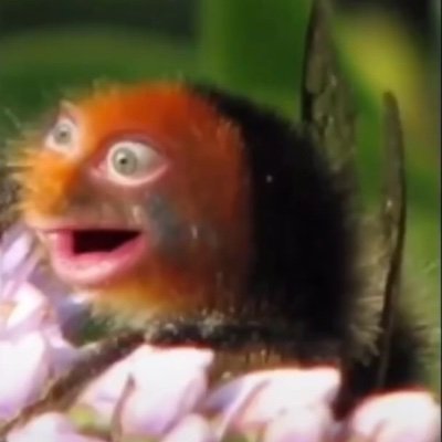 Stringc89816833's profile picture. My eyes are sweaty. I'm just your average strong grandma and madd I dable is anime and car juice I can taste colors