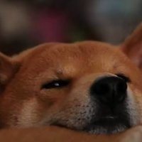 mofn (@lookingmofn) 's Twitter Profile