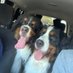 Sadie 🌈, Murphy🌈, Tucher & Lola (@redrockrunner1) Twitter profile photo Sadie 🌈, Murphy🌈, Tucher & Lola (@redrockrunner1) Twitter profile photo