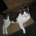 Fanny Sacco/tooney simba (@saccofanny) Twitter profile photo Fanny Sacco/tooney simba (@saccofanny) Twitter profile photo