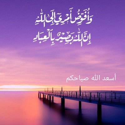 مستشارة وكيل الوزارة للتخطيط والتطوير بوزارة التعليم متقاعدة
أطمح ان يكون وطني الحبيب من اعظم الدول عالميا