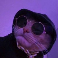 CH (@ehot_tpaxyh) 's Twitter Profile
