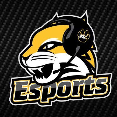 Wayne State College Esports