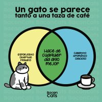 cat38% (@lavanchymarta) 's Twitter Profile Photo cat38% (@lavanchymarta) 's Twitter Profile Photo