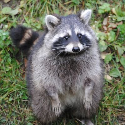 Mr_Óさんのプロフィール画像