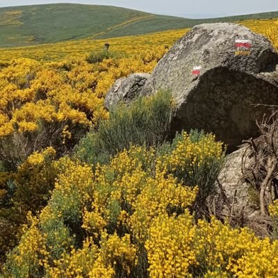 NicoleM59626878's profile picture. Generation.s Massy