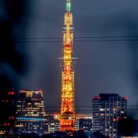 トビダスナ★ (@y5y7om1jsgzxnyw) Twitter profile photo