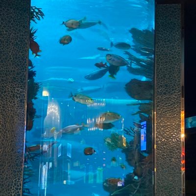 TennisGuru4ever's profile picture. outdoorsman. . California dreamin’