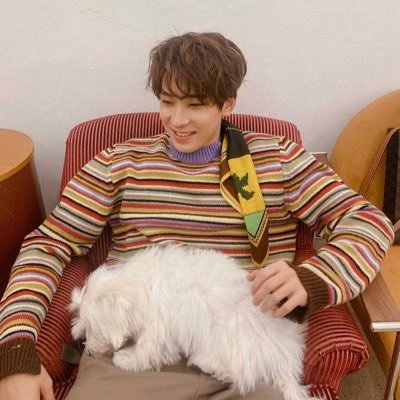 20↑/wonwoo/seventeen