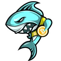 Crypto Shark (@crypto_shaark) 's Twitter Profile