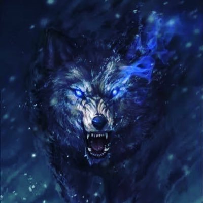 DM for RP 🐺🏳️‍🌈