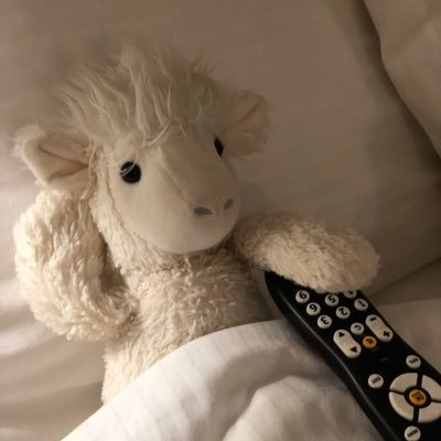 Freddy Mercury is a well travelled Llama. He has travelled from the US to France to Russia to Armenia. Follow Fred as he travels his many adventures.