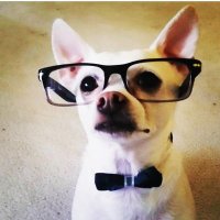 DAVID MUGGLE (@davidmuggle1) 's Twitter Profile