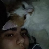 nurefşan (@ofnurefsan) Twitter profile photo