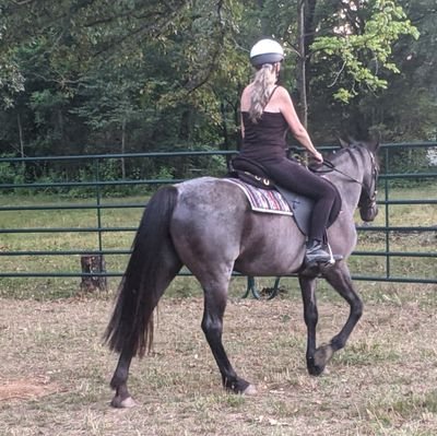 loves animals, most kids, some others well
#clanFerguson #MITmom #dressage