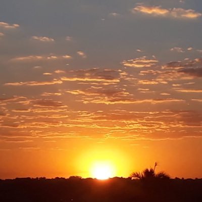 CicaDinamarco's profile picture. Brasileira Profissional da saúde - Clínica de Pilates e Fisioterapia. Família, fé, amor e respeito. Produtora de café. Sou do agro. Patriota com orgulho🇧🇷💙