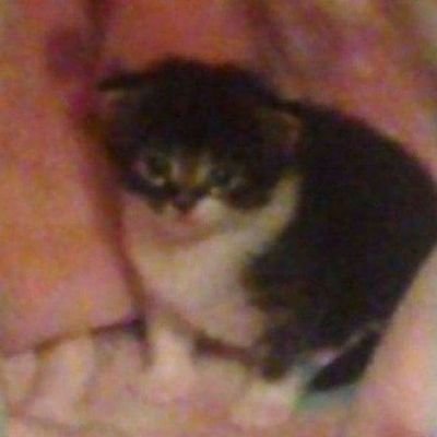 LouisWitcher16's profile picture. @Okimura_LW / Instagram.
Comissions: DM.