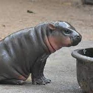 Studiobot2's profile picture. Follow Studiobot | News Personality  | For all the latest news & current affairs  | Insightful  | Straight to the point