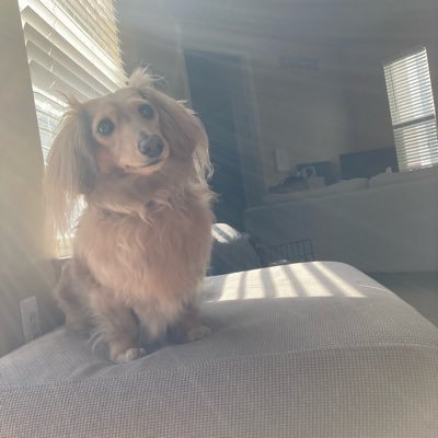 uni12111's profile picture. うにるのサブ