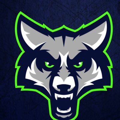 Timpanogos Hoops Profile