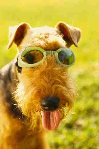 GianlucaSigiani's profile picture. 