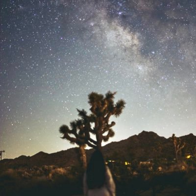 salpss's profile picture. 🇦🇲🇪🇬