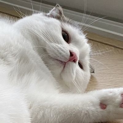 bbayoil's profile picture. ╯﹏╰ ♡