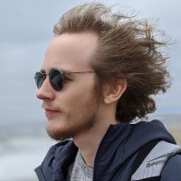 Andreas Løve Selvik (@lionleaf) 's Twitter Profile