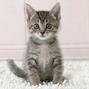 Becky Chalmers - @bgeorobcha - Twitter