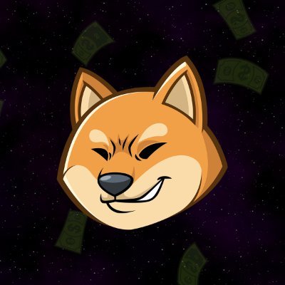 Chad Inu Token Profile